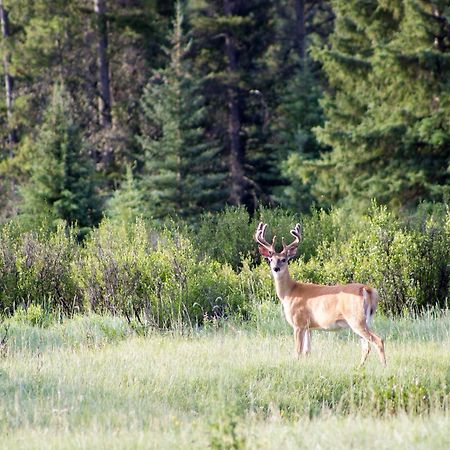 Rock Lake Lodge Rock Lake Lodge Provincial Park Bagian luar foto