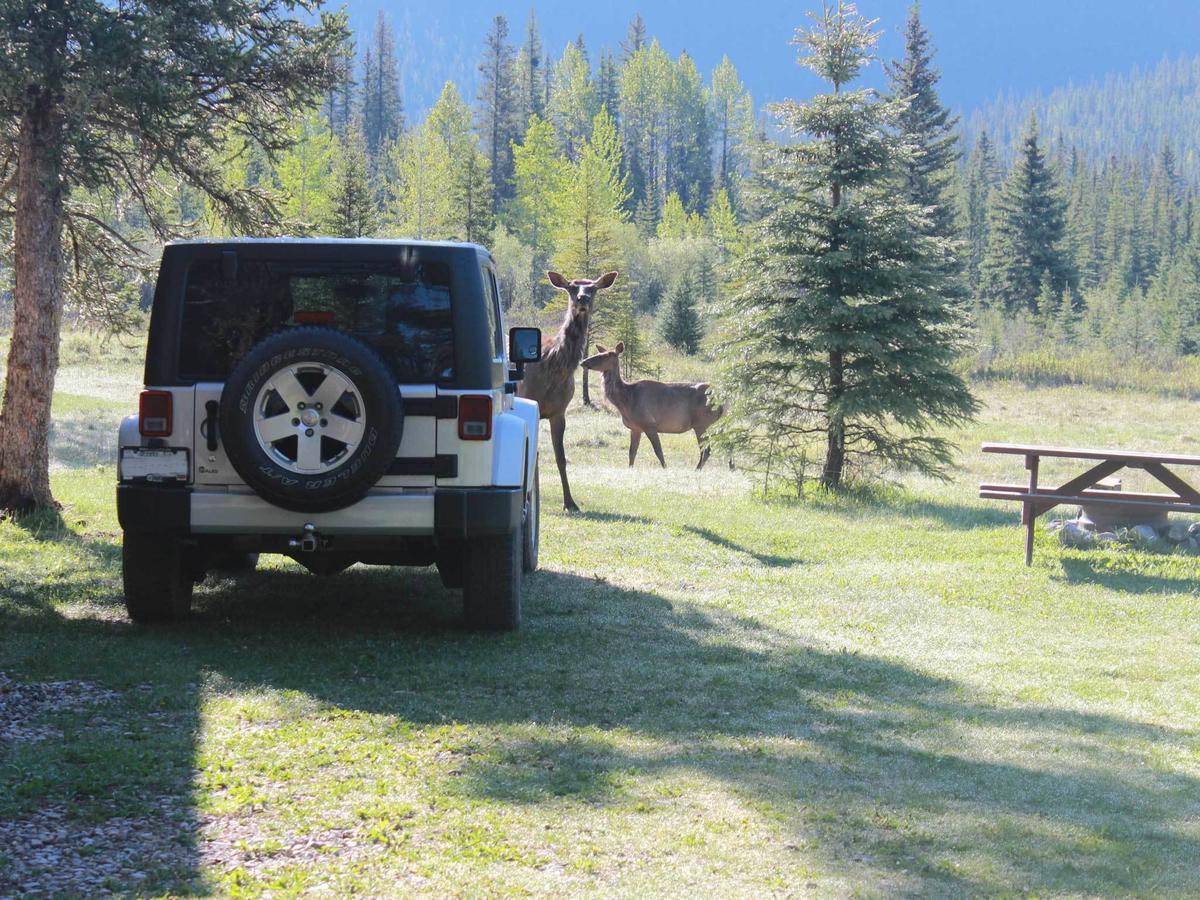 Rock Lake Lodge Rock Lake Lodge Provincial Park Bagian luar foto