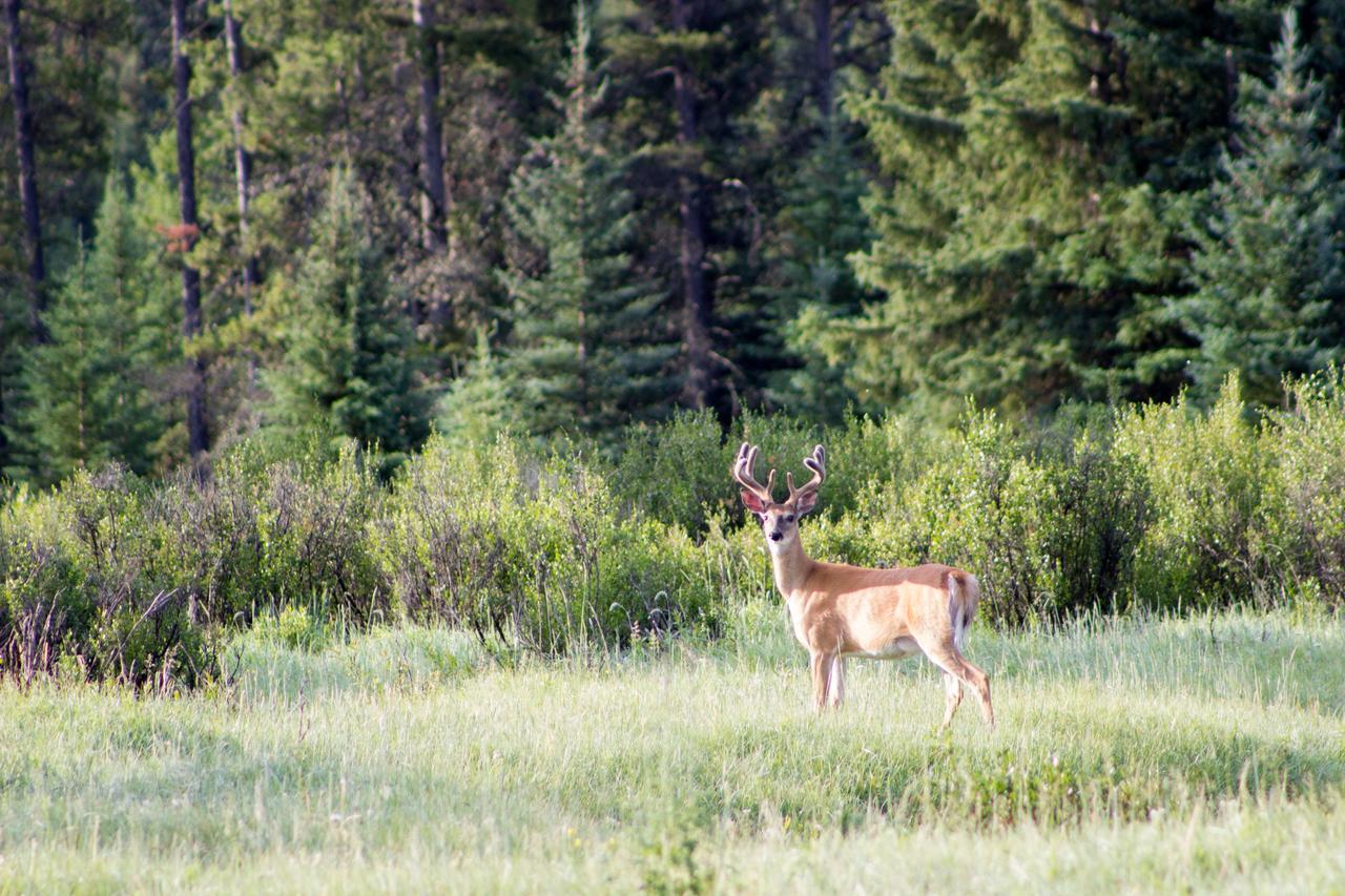 Rock Lake Lodge Rock Lake Lodge Provincial Park Bagian luar foto